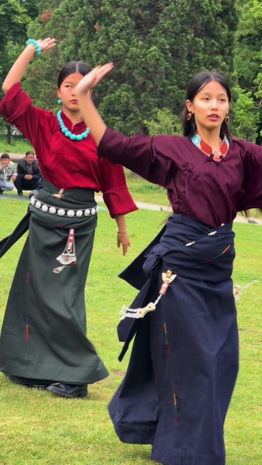 Post 5 by Tsewang on TikTok (video)