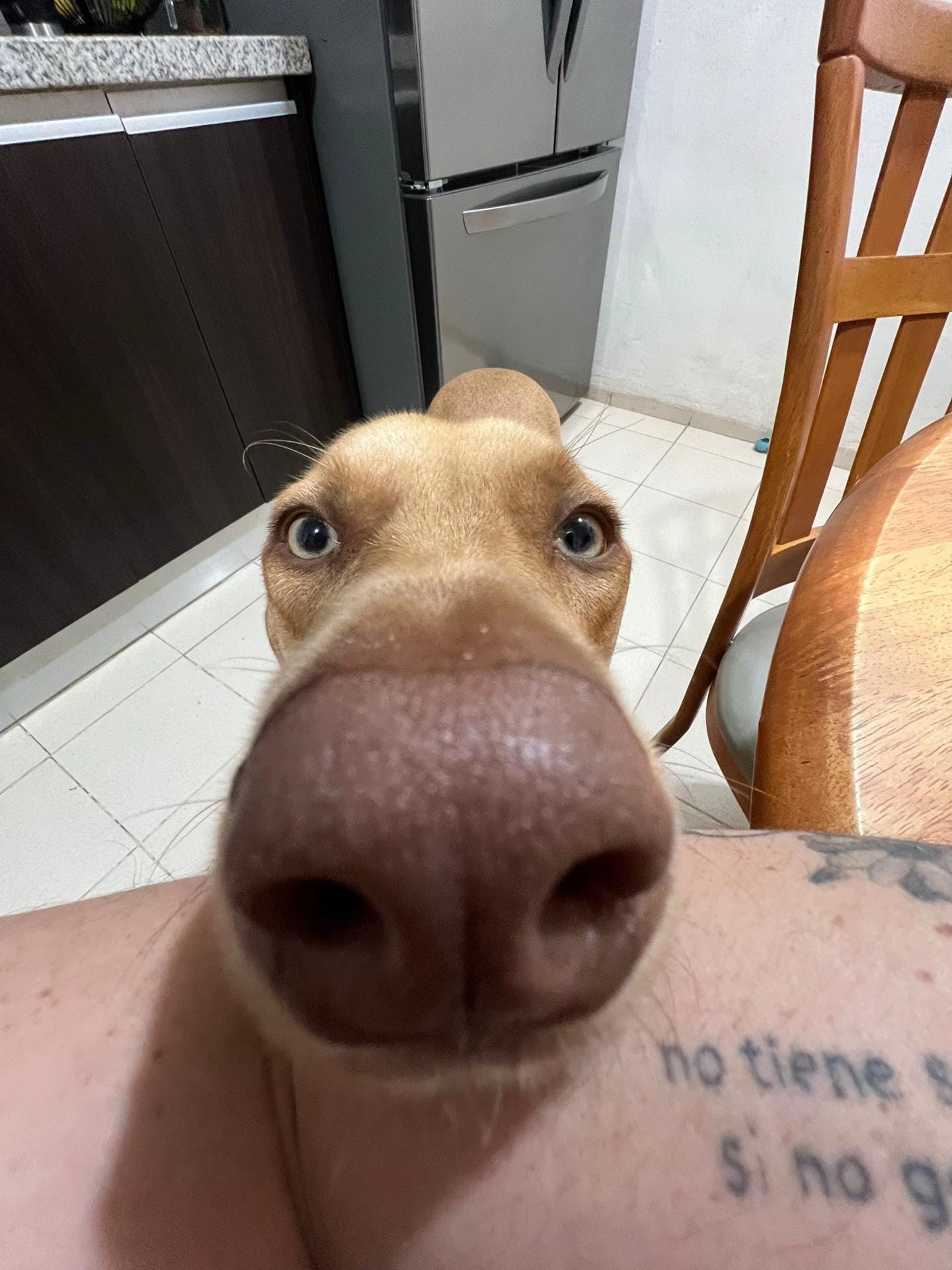 Post 2 by decøde on TikTok (video)
