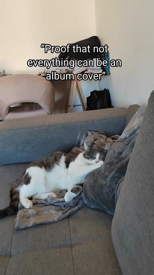 Post 6 by Sunny Le Chat on TikTok (video)