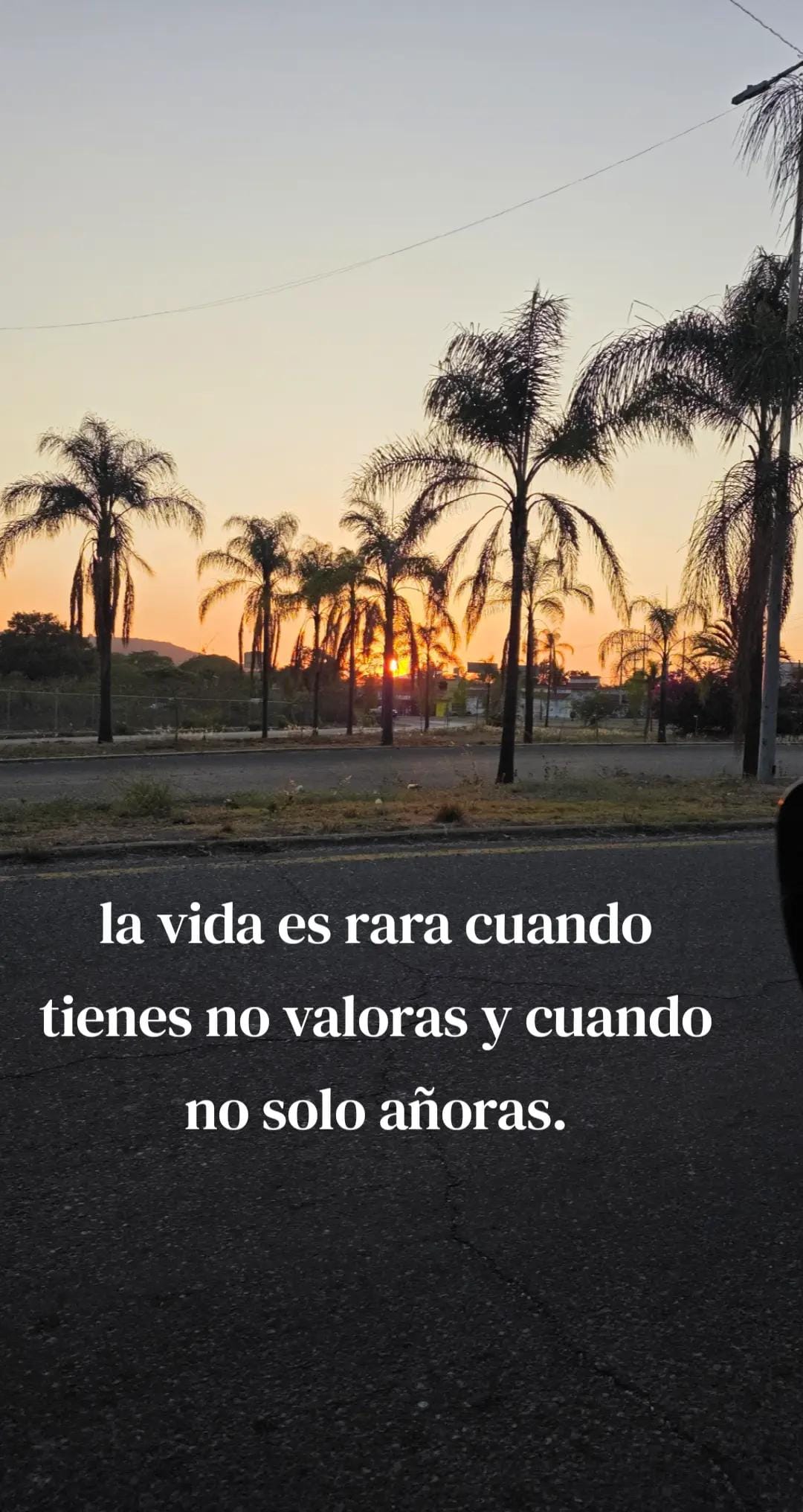 Post 5 by soy Genesis Men2a🪻 on TikTok (video)