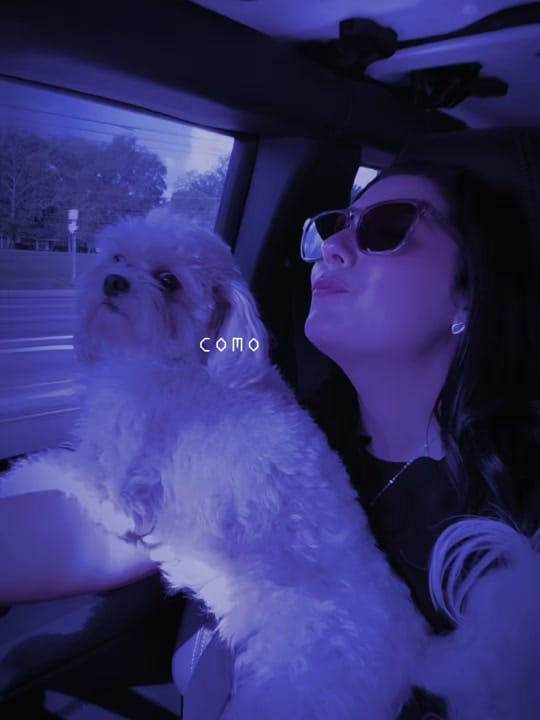 Post 9 by lupitaledezma_2012 on TikTok (video)
