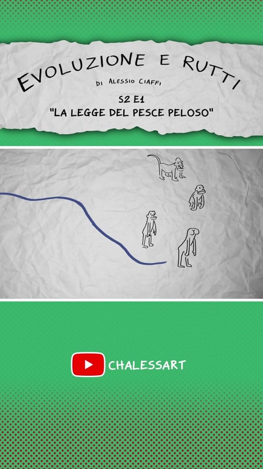 Post 6 by chalessart on TikTok (video)