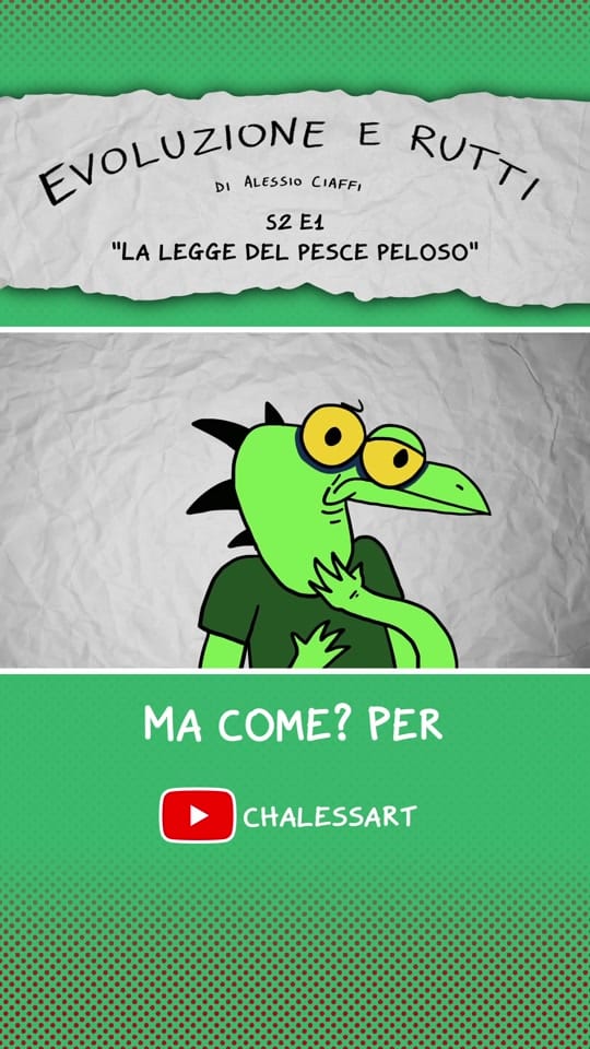 Post 8 by chalessart on TikTok (video)