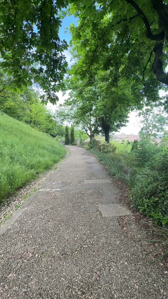 Post 3 by ElifSIMSEK on TikTok (video)