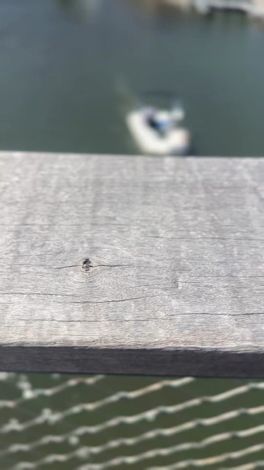 Post 5 by ElifSIMSEK on TikTok (video)