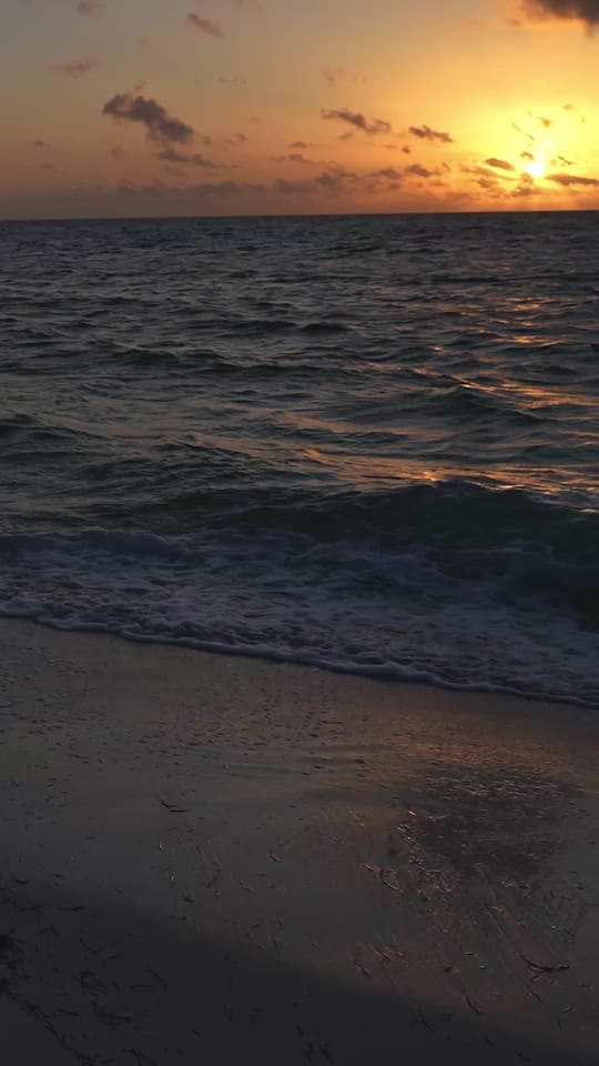 Post 2 by ATELIER Playa Mujeres on TikTok (video)