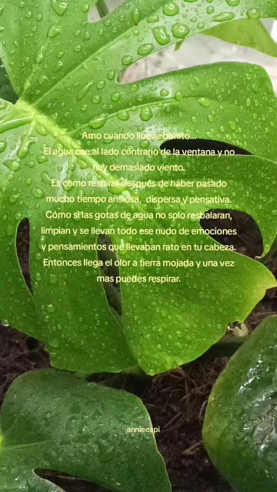 Post 2 by Annie Art ✨🎨🖌️ on TikTok (video)