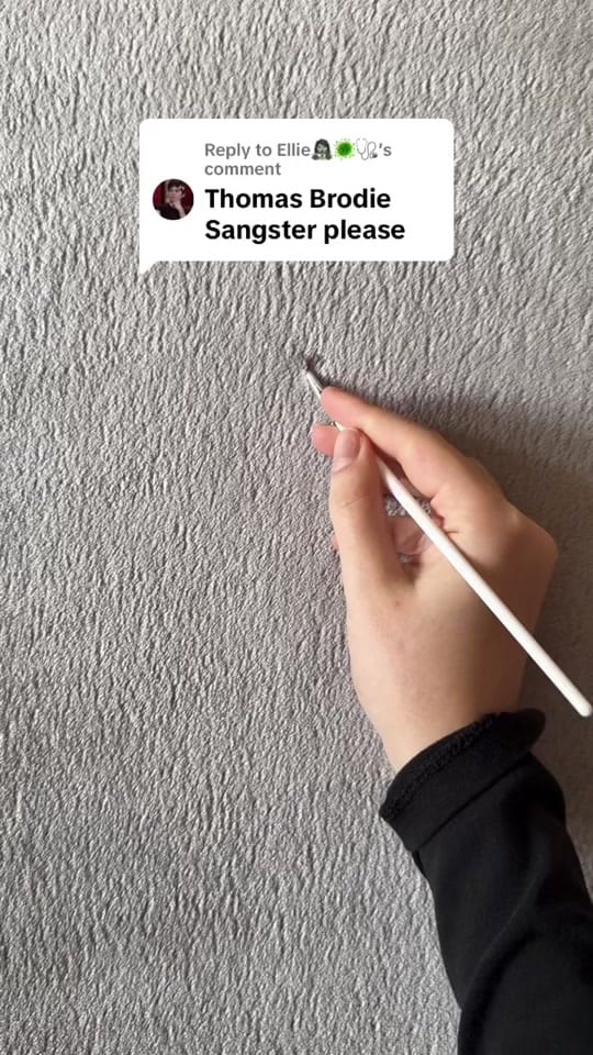 Post 6 by leona’s art on TikTok (video)