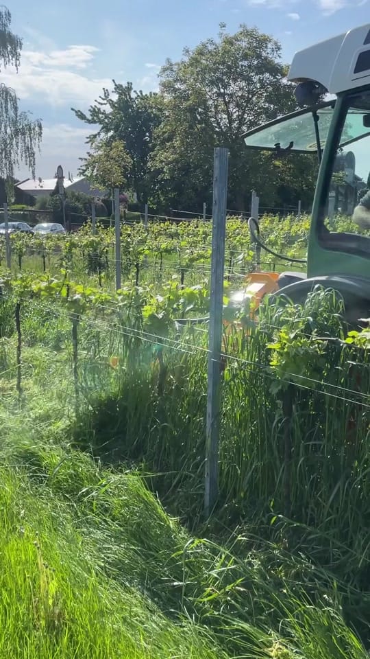 Post 8 by thewinearound on TikTok (video)