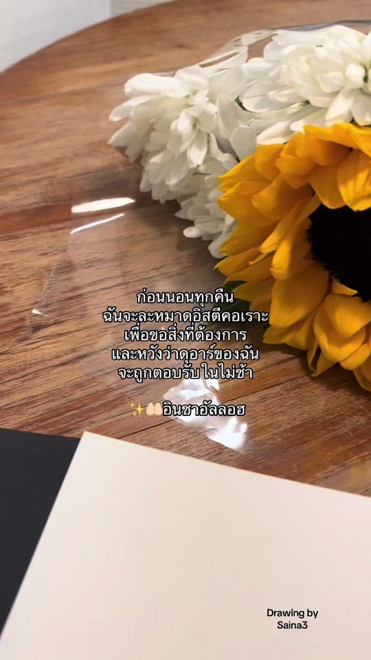 Post 9 by Saina3 on TikTok (video)