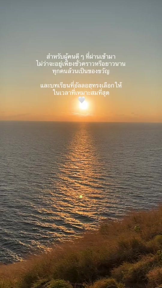 Post 4 by Saina3 on TikTok (video)