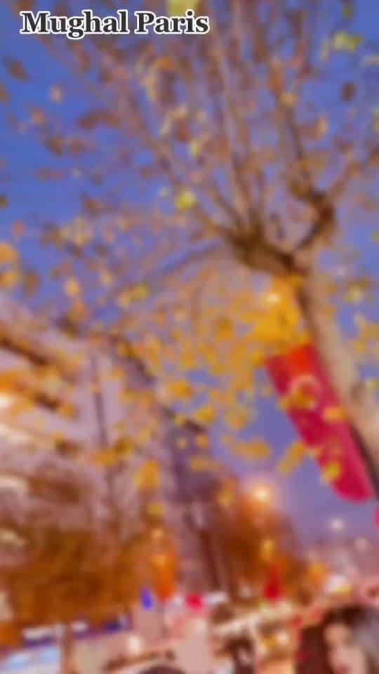 Post 5 by 🇲🇫𝐌𝐔𝐆𝐇𝐀𝐋 𝐏𝐀𝐑𝐈𝐒 ⭐️ on TikTok (video)