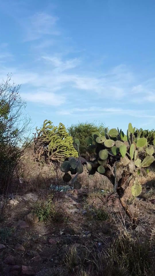 Post 5 by Miguel.Epardo on TikTok (video)