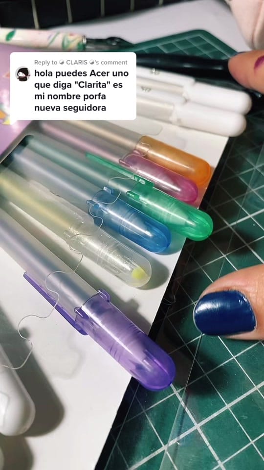 Post 7 by elsa_melina_ on TikTok (video)