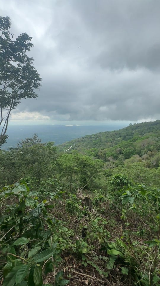 Post 1 by SOY NAYKING on TikTok (video)