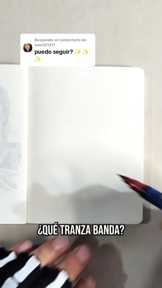 Post 5 by Vík Rojas on TikTok (video)