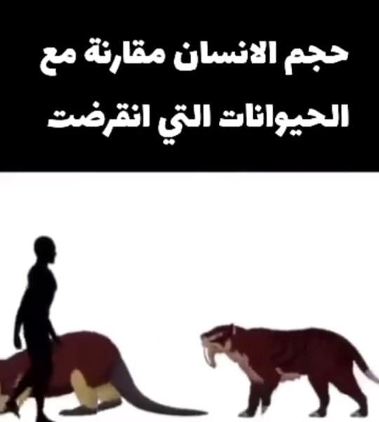 Post 9 by beats on TikTok (video)