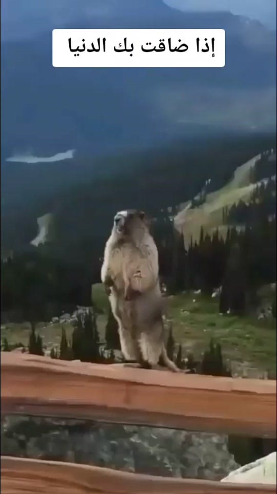 Post 5 by beats on TikTok (video)