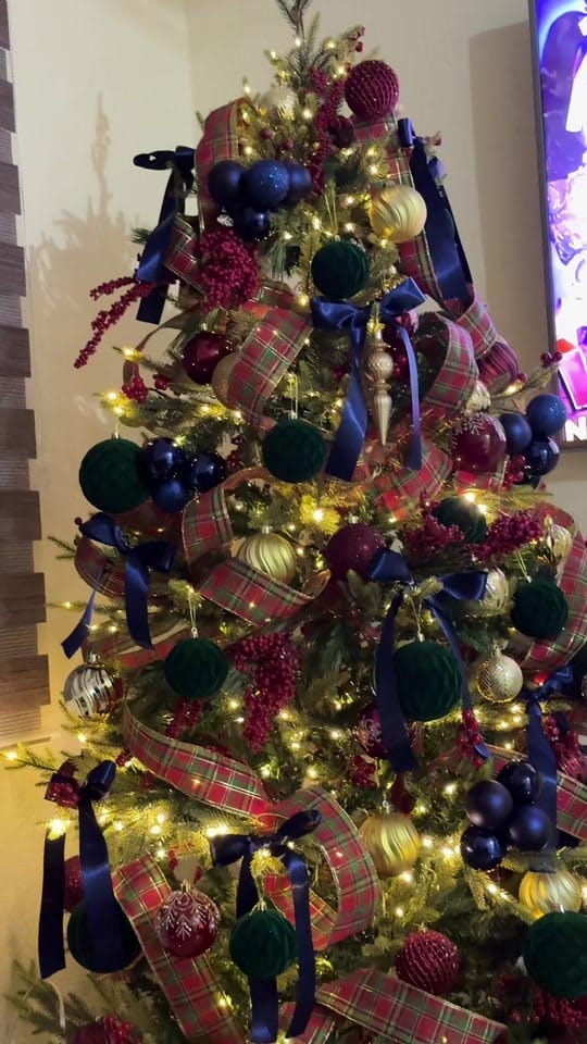 Post 5 by AntonioBohé on TikTok (video)