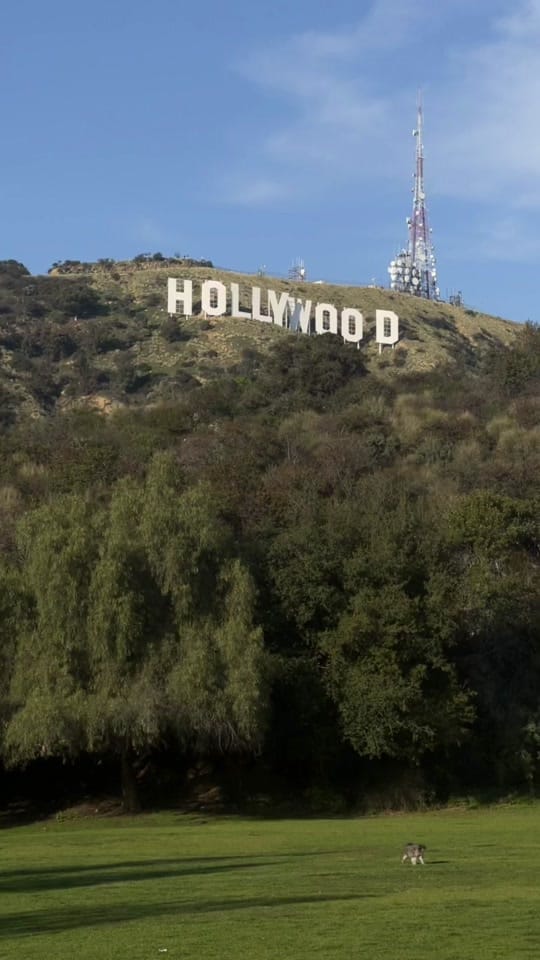 Post 10 by brielle on TikTok (video)