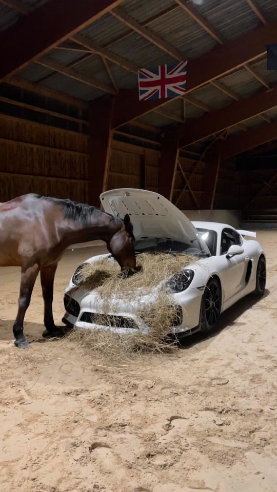 Post 9 by ExoticCarsOnly on TikTok (video)