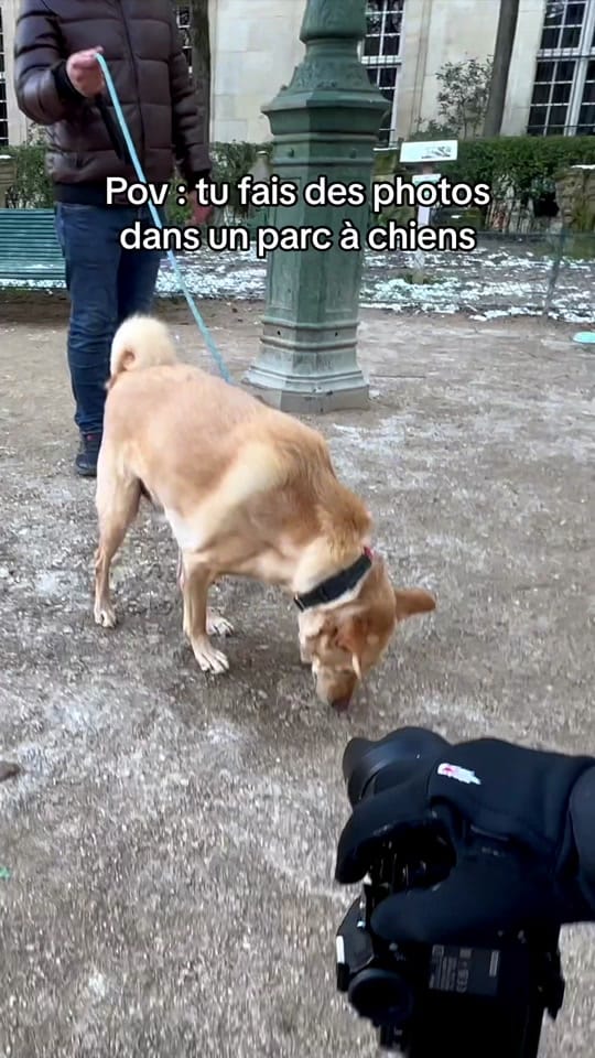 Post 6 by shotbytoinou on TikTok (video)