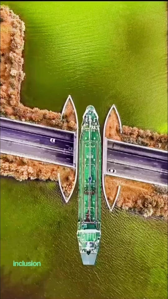 Post 10 by beagle77777 on TikTok (video)