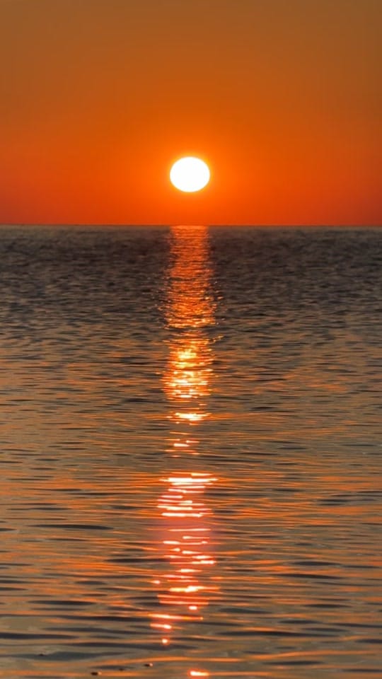 Post 2 by beagle77777 on TikTok (video)