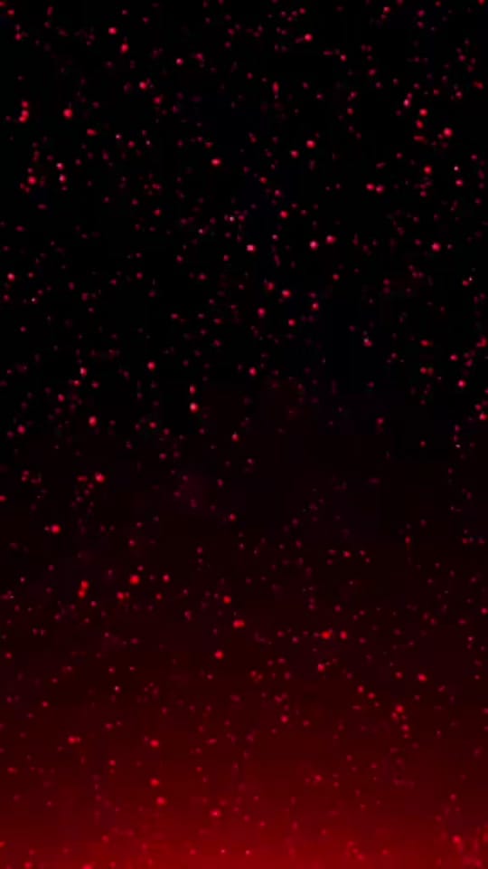 Post 5 by beagle77777 on TikTok (video)
