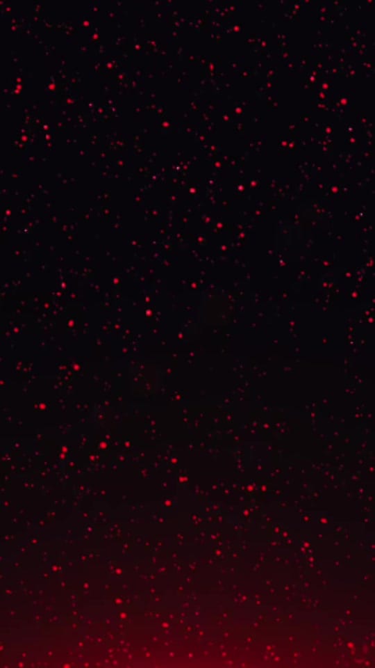 Post 8 by beagle77777 on TikTok (video)