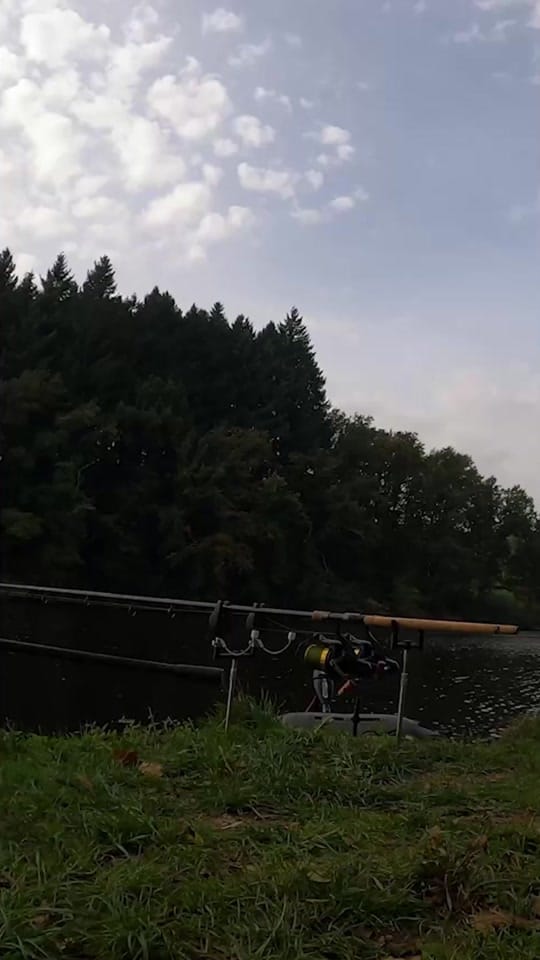 Post 2 by julien_josselin_scale on TikTok (video)