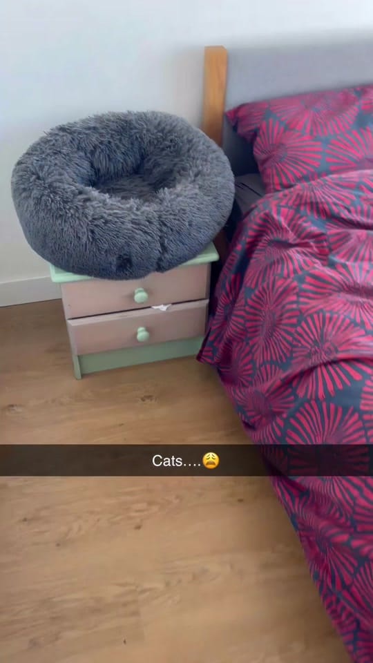 Post 3 by Quentin.fx on TikTok (video)