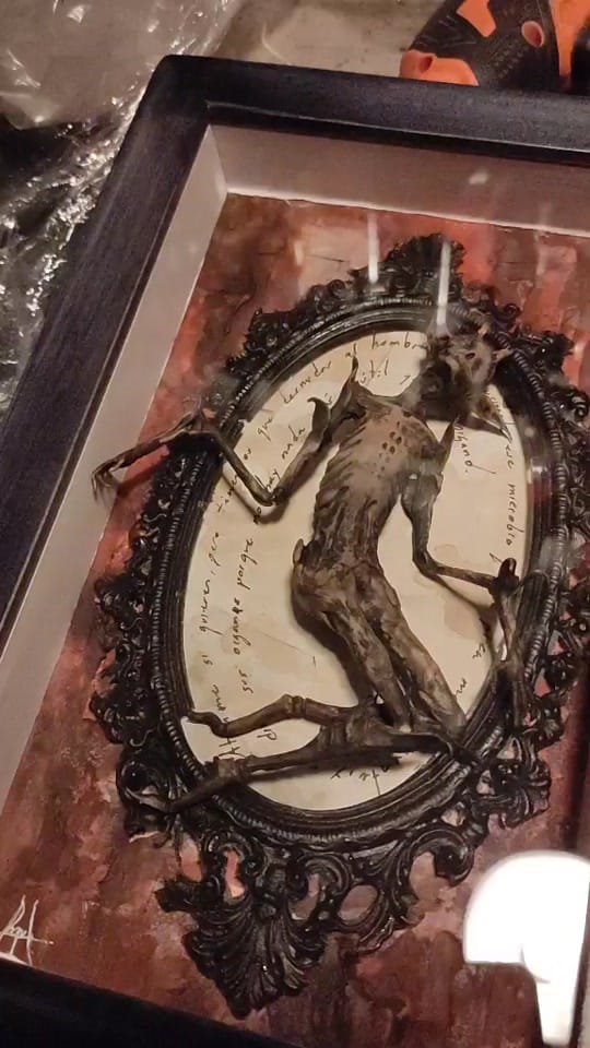 Post 9 by umbratheca on TikTok (video)