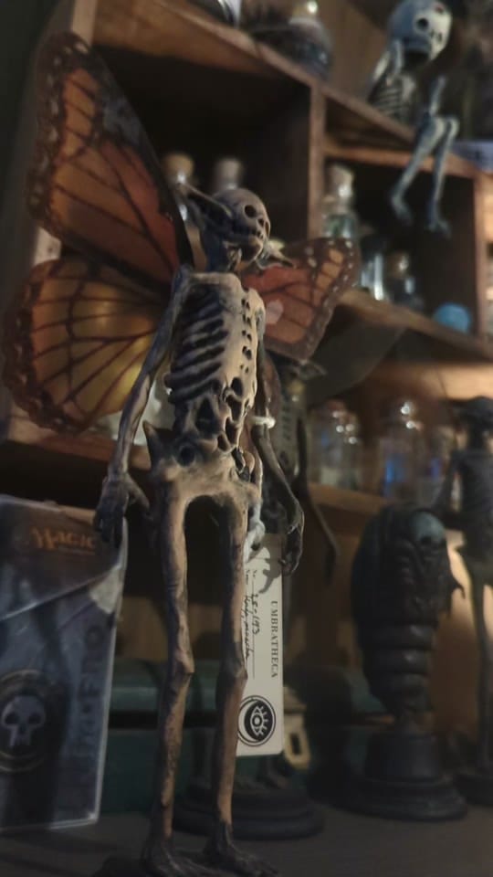 Post 1 by umbratheca on TikTok (video)