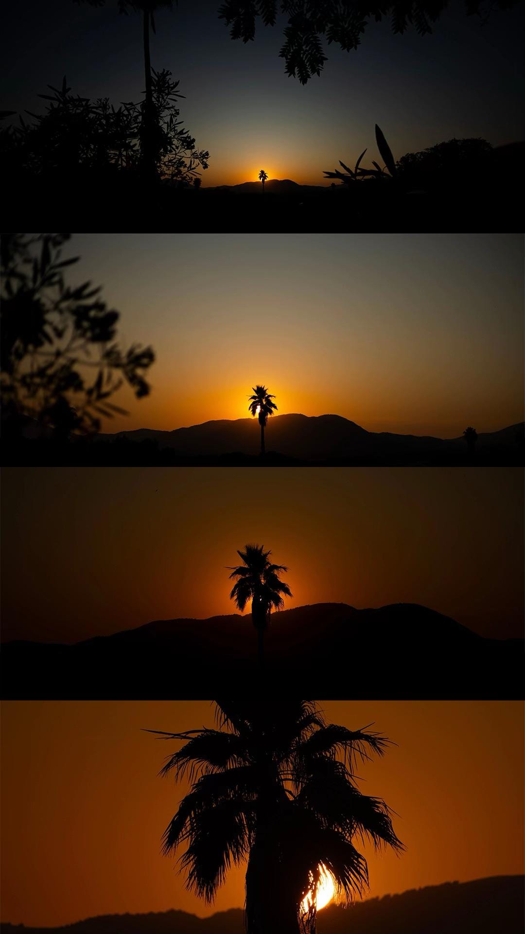 Post 8 by HASHTAGGU | FILMMAKER on TikTok (video)