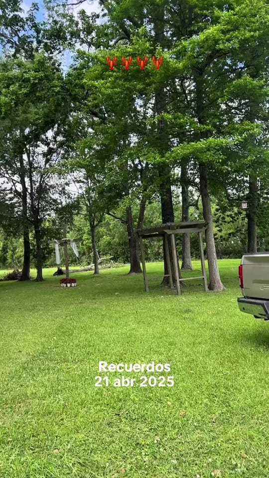 Post 6 by Andres Escamilla Æ on TikTok (video)