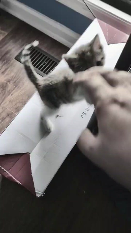 Post 1 by LukeDoesTikTok🦖🐌 on TikTok (video)