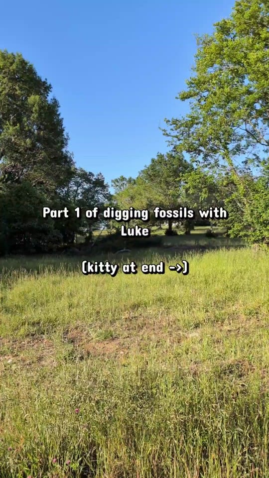 Post 2 by LukeDoesTikTok🦖🐌 on TikTok (video)