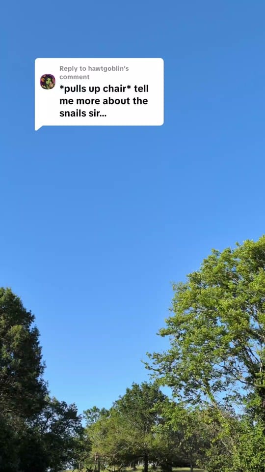 Post 3 by LukeDoesTikTok🦖🐌 on TikTok (video)