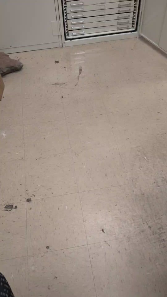 Post 10 by LukeDoesTikTok🦖🐌 on TikTok (video)