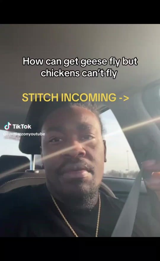 Post 7 by LukeDoesTikTok🦖🐌 on TikTok (video)