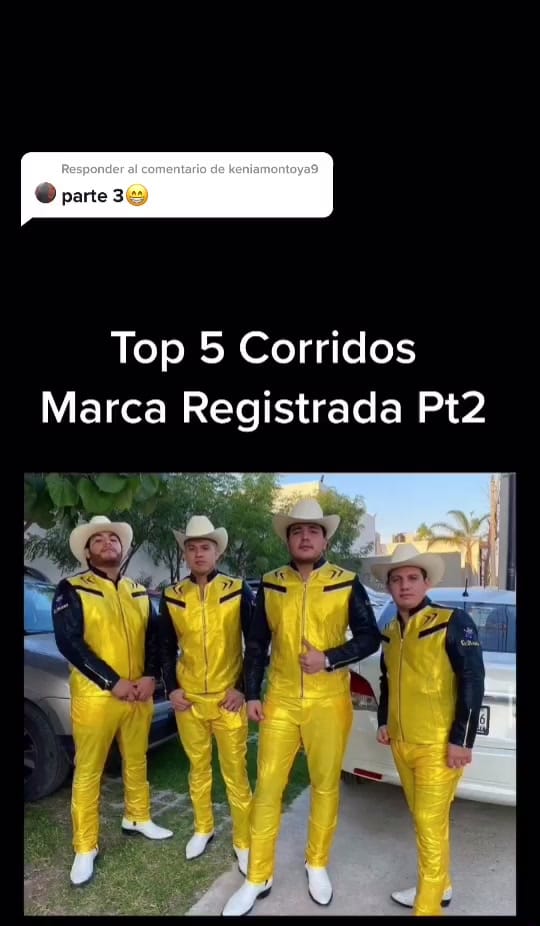 Post 2 by Erik on TikTok (video)