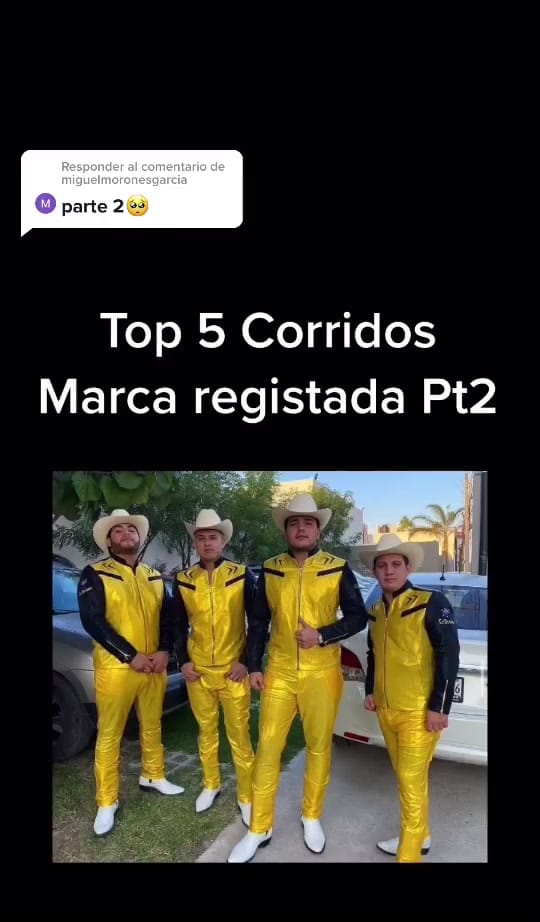 Post 9 by Erik on TikTok (video)