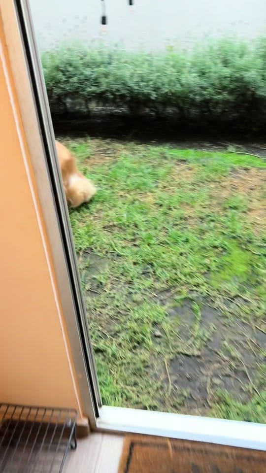 Post 7 by Camila Orleansky on TikTok (video)