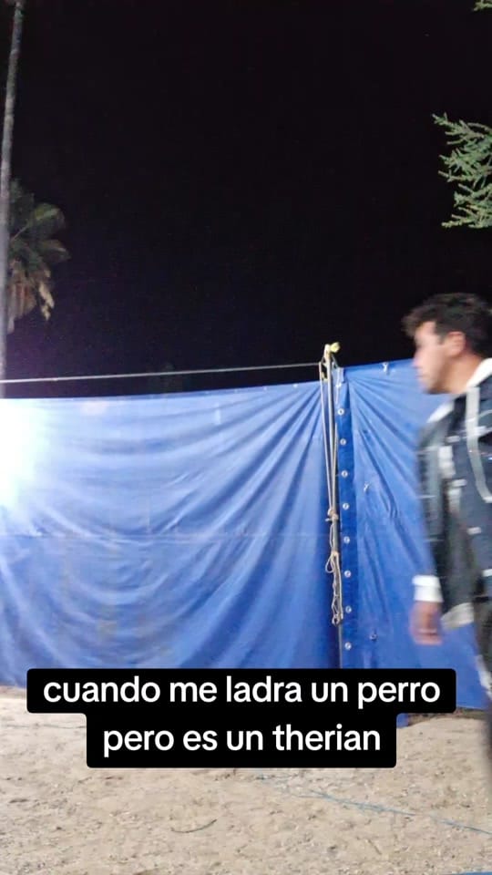 Post 3 by el febles on TikTok (video)