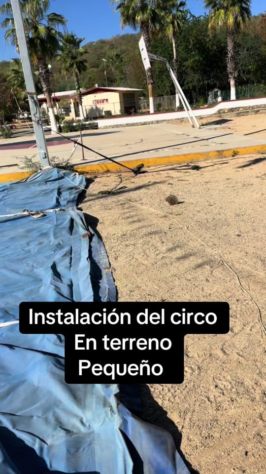 Post 7 by el febles on TikTok (video)