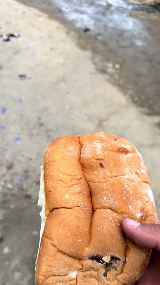 Post 5 by el febles on TikTok (video)
