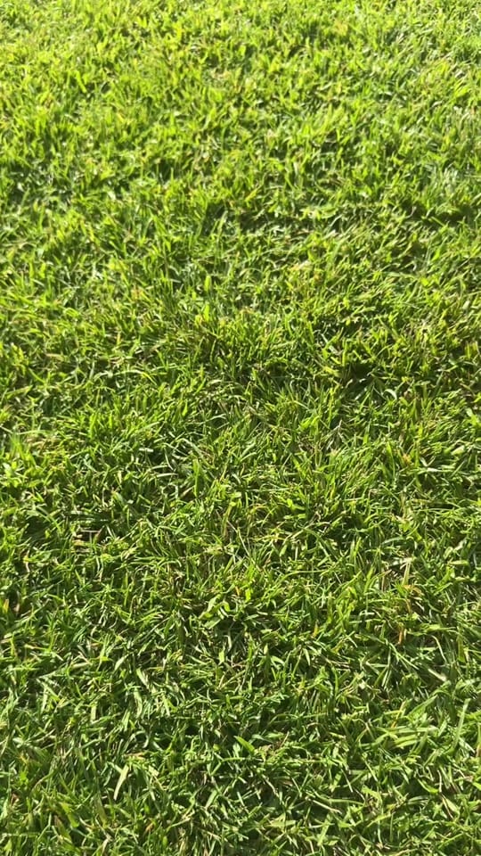 Post 8 by Paris Vibes 🗼🇫🇷🇦🇱 on TikTok (video)