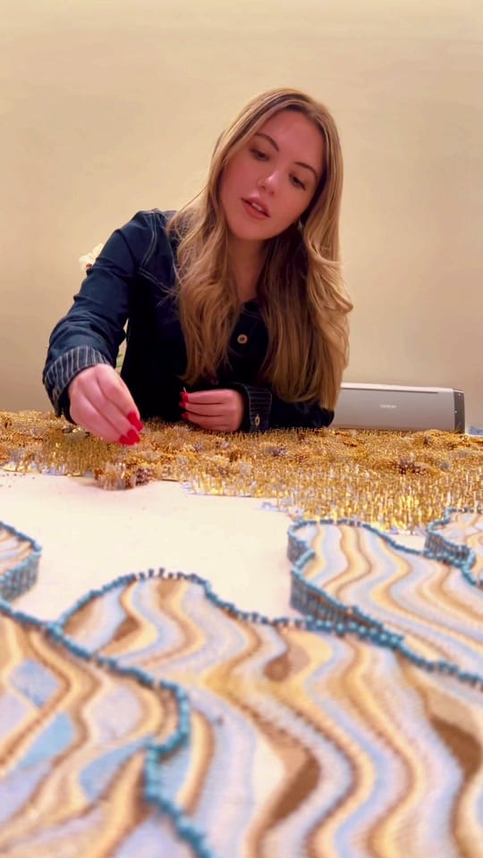Post 2 by Paulina Nieto C on TikTok (video)
