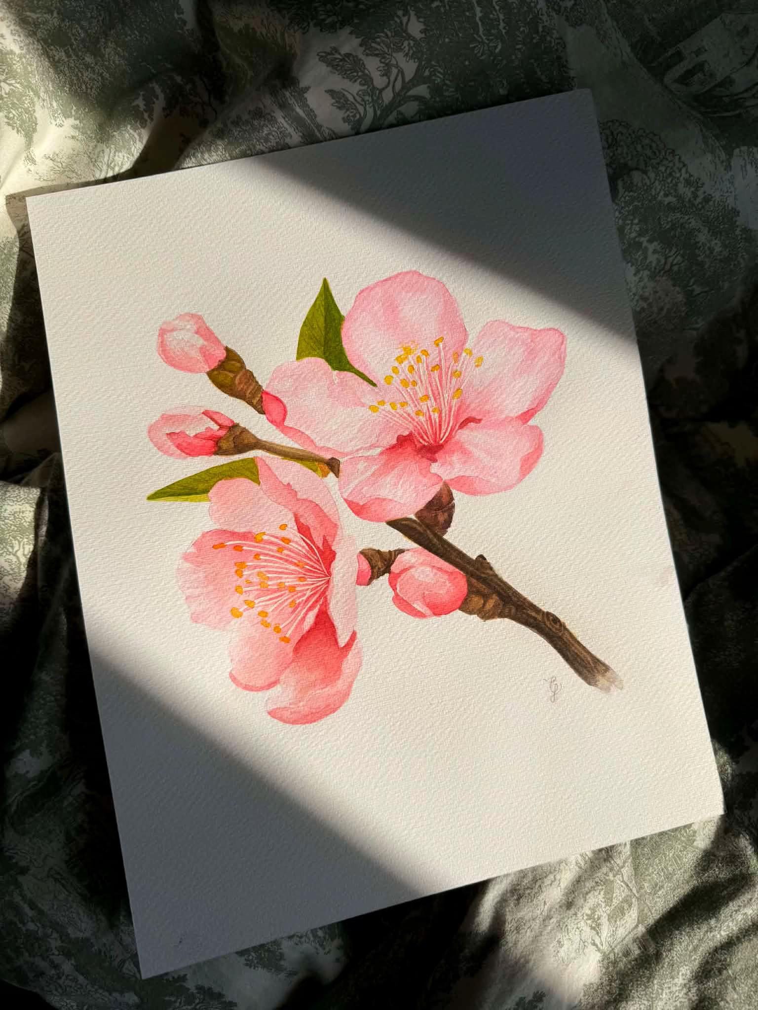 Post 7 by IlustrandoconTatito on TikTok (video)